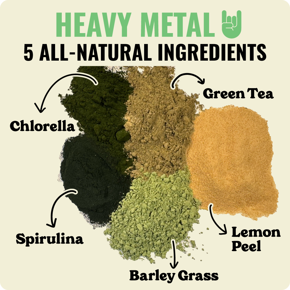 4-Stage Detox Kit + Free Binder