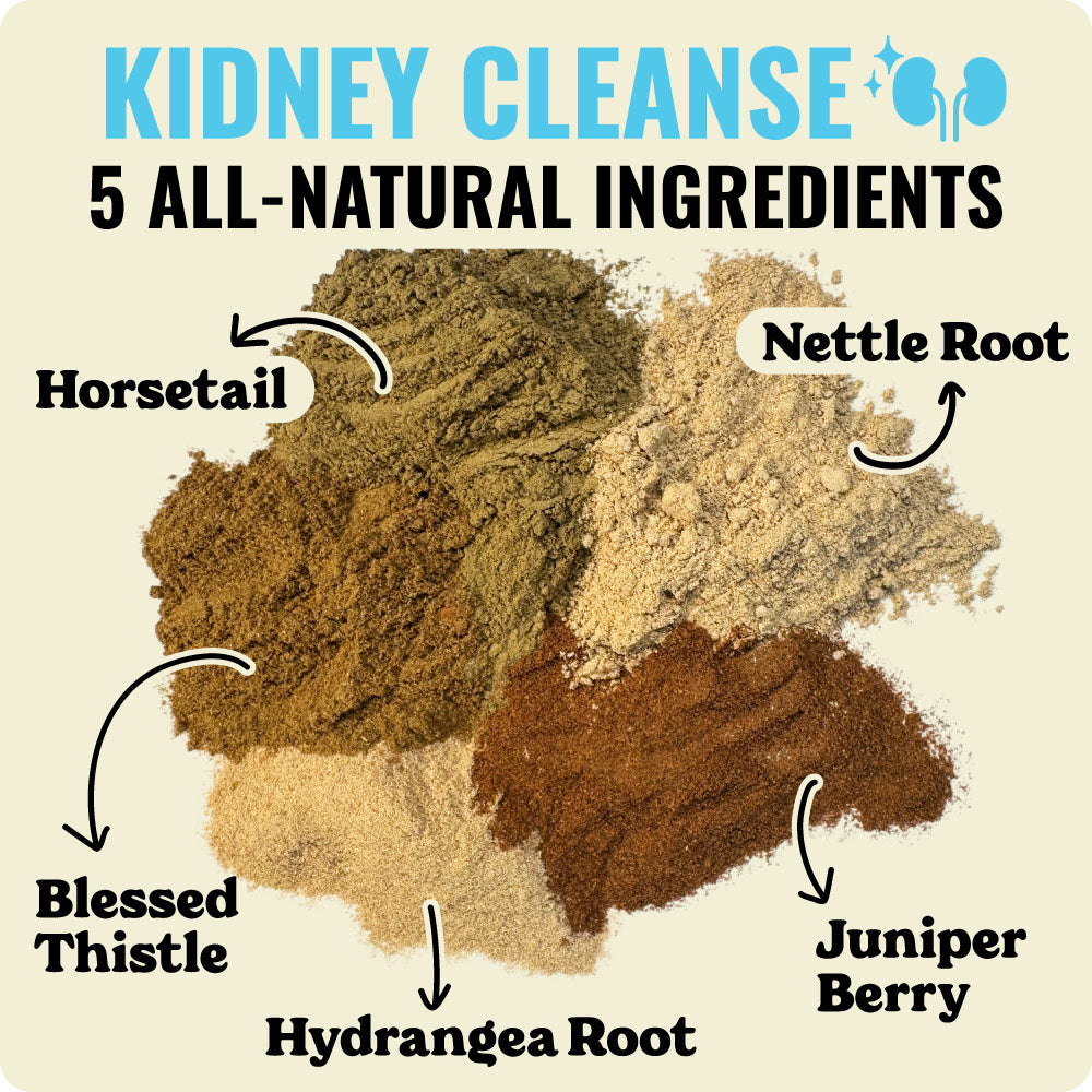 4-Stage Detox Kit + Free Binder