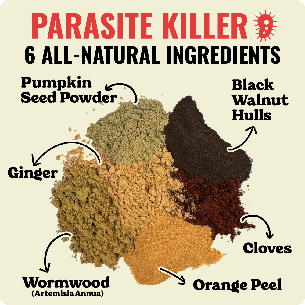 4-Stage Detox Kit + Free Binder