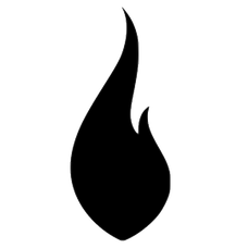 FLAME Natural Decon logo